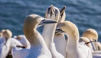 开云体育入口：畅享极致体育体验的全新平台