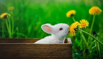 打开未来智慧之门——kaiyun.com，让你的生活更高效